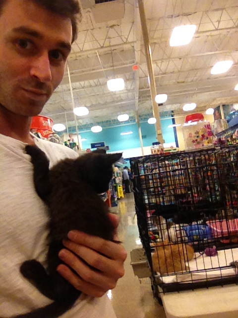 Kitten Shopping - James Deen Blog